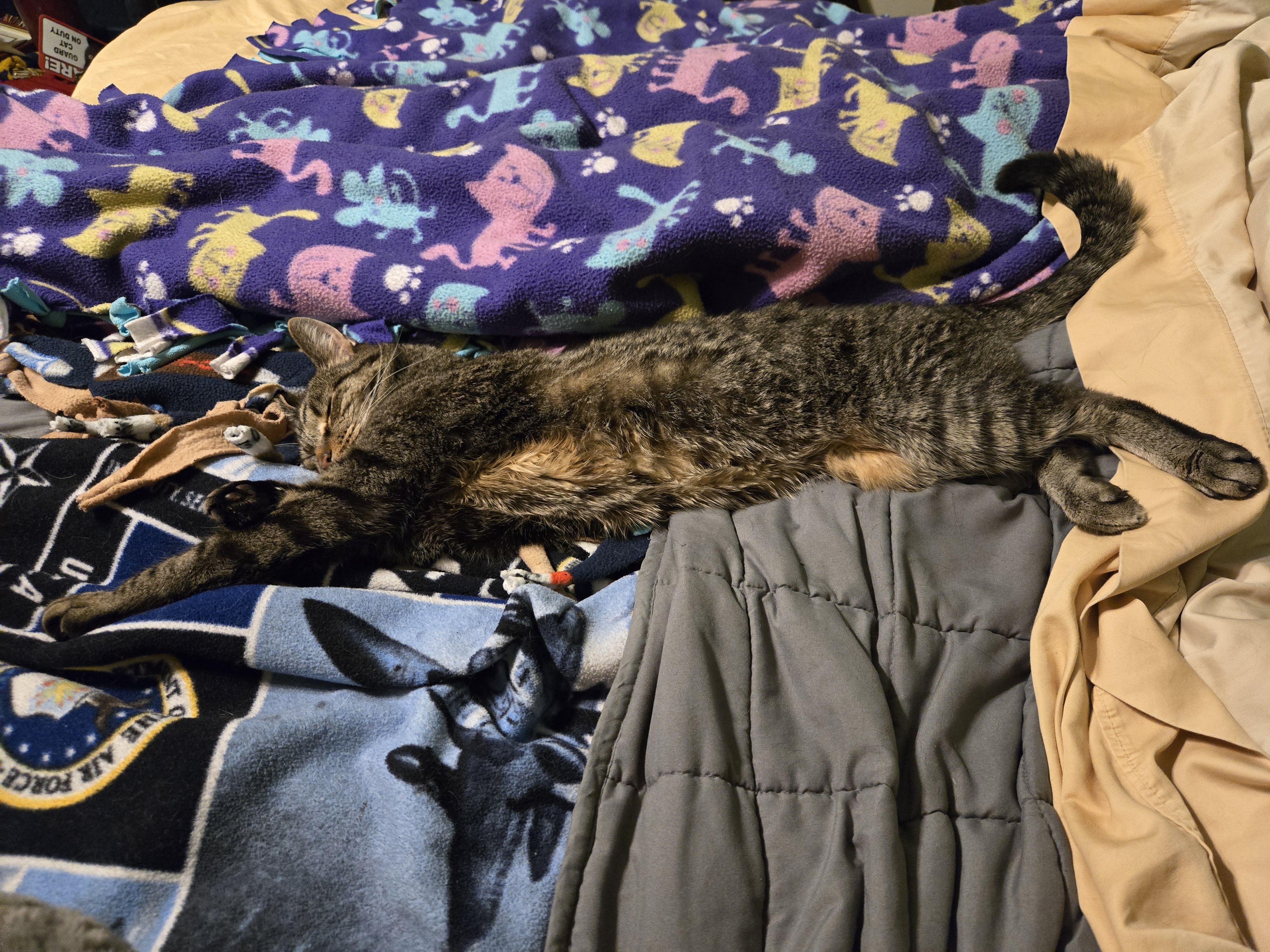 Sleeping on our bed, stretched out