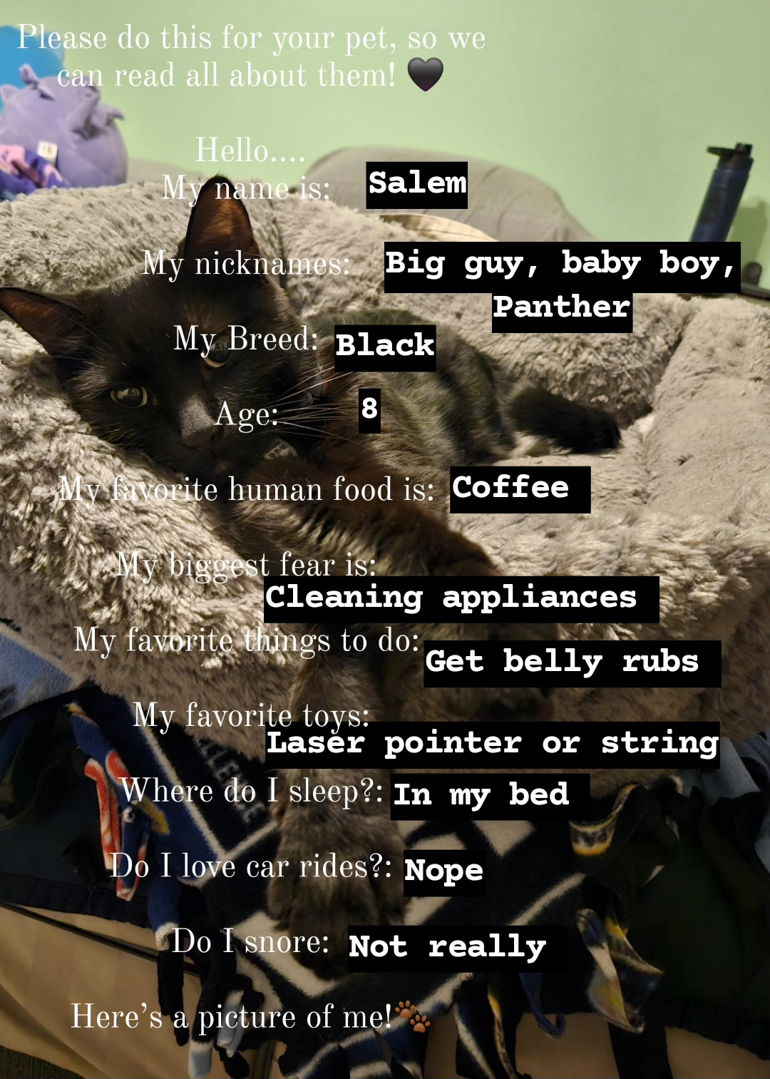 Some Salem facts in image form